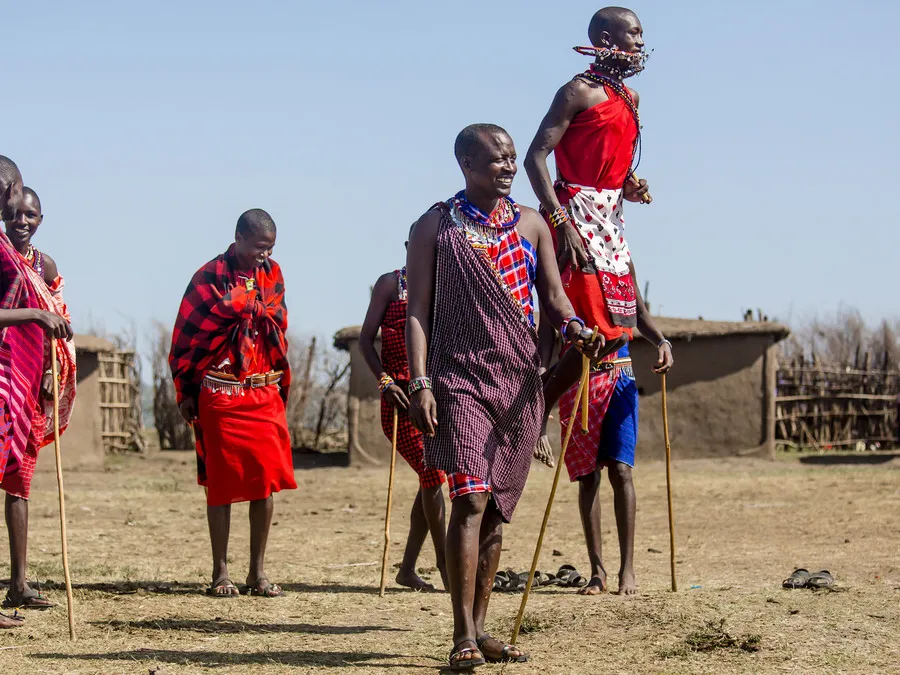 afrika safari sikkerhed